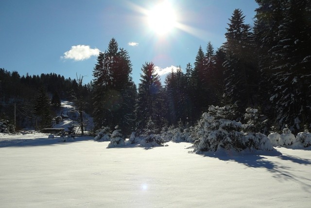 Gorski kotar